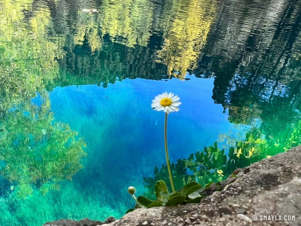 Une source bleue