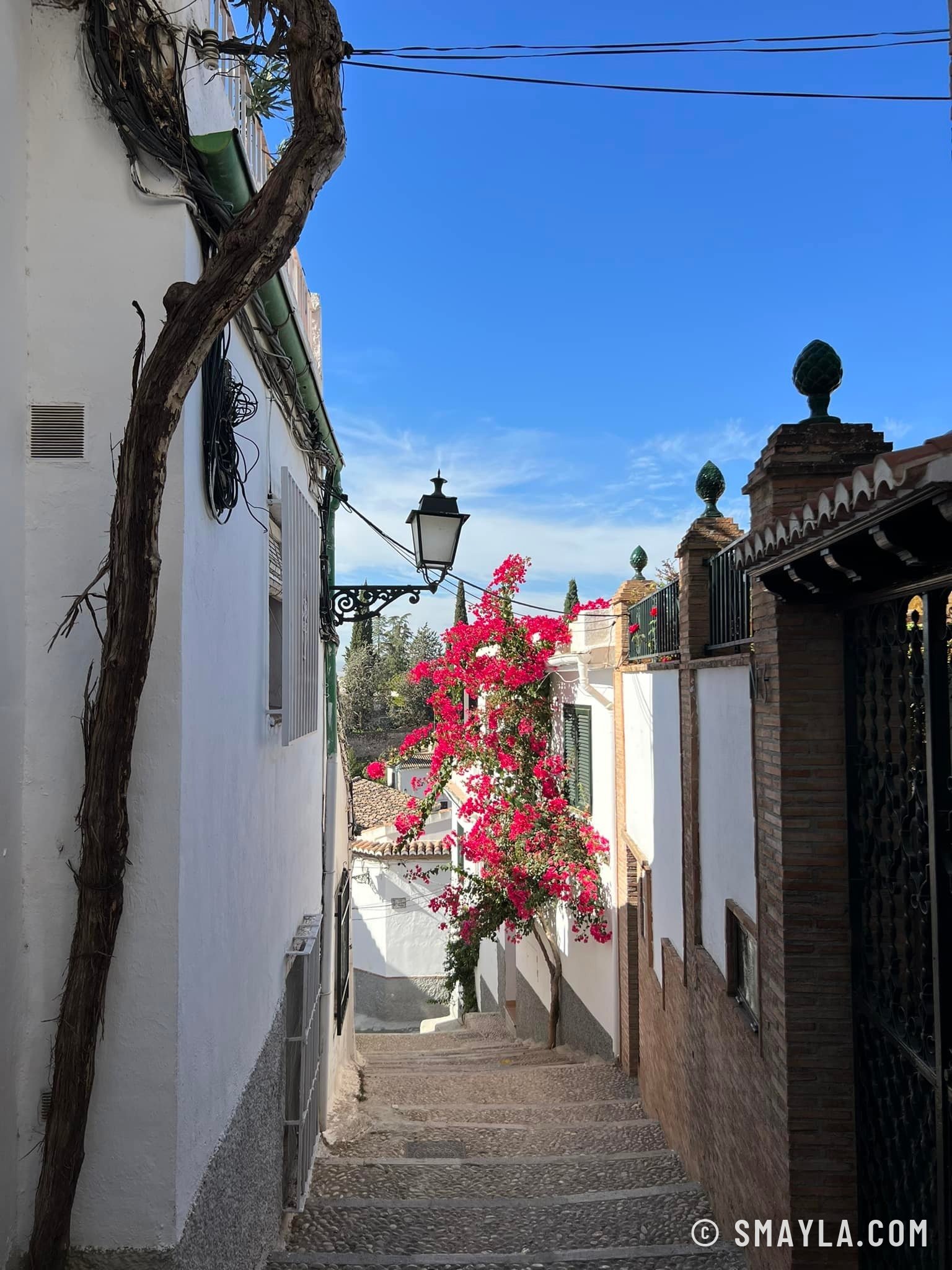Une ruelle fleurie de Grenade