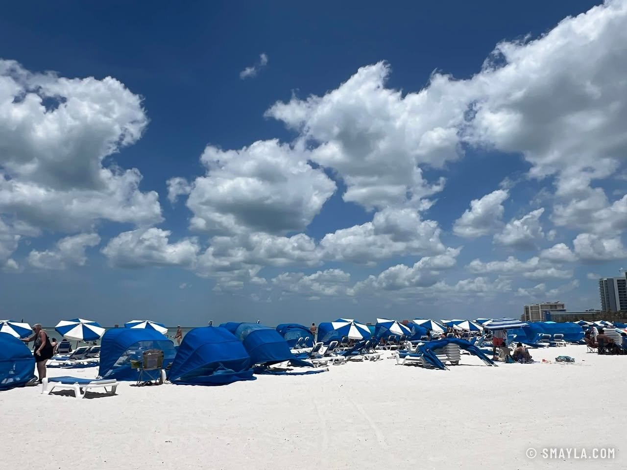 Les parasols bleus de Clearwater