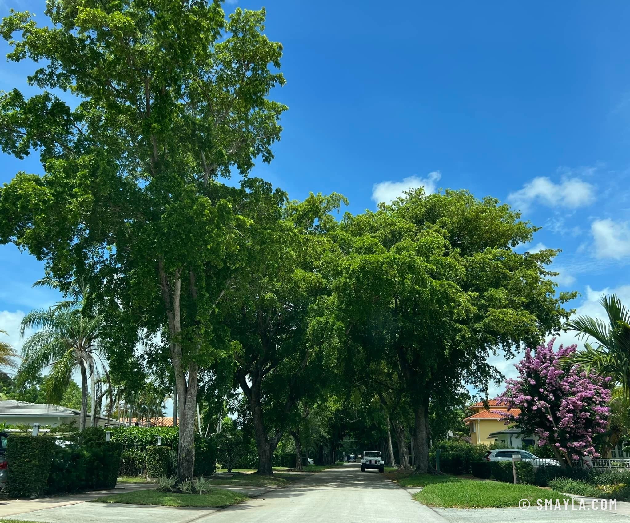 Coral Gables, vert et fleuri