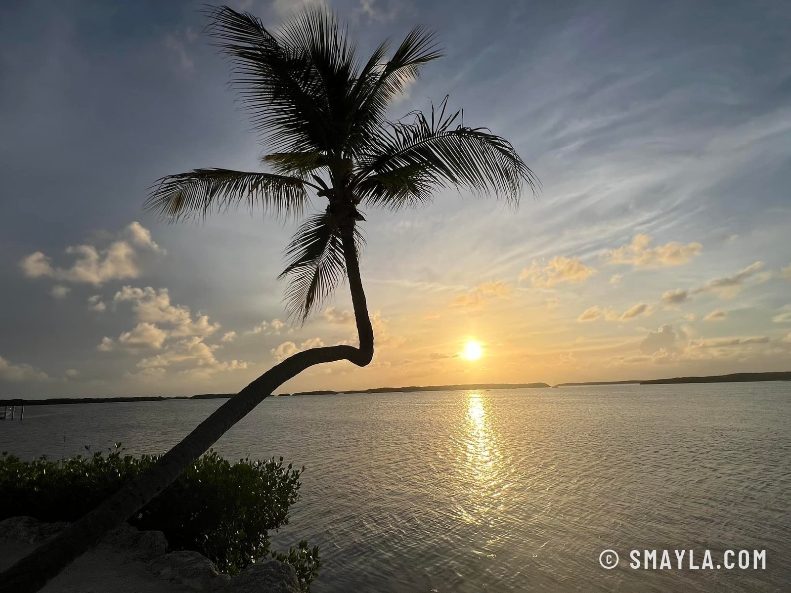 Floride et New York, des mangroves aux gratte-ciel