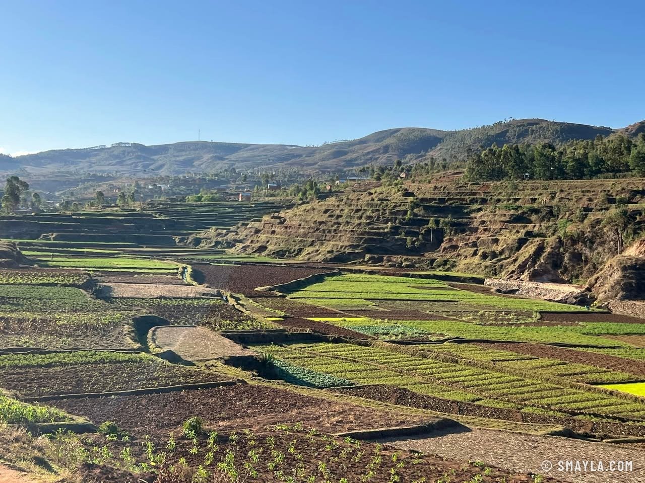 Rizières dans la vallée