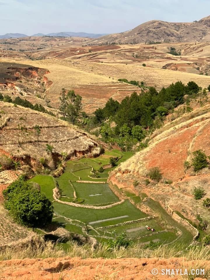 Terrasses sur la terre rouge