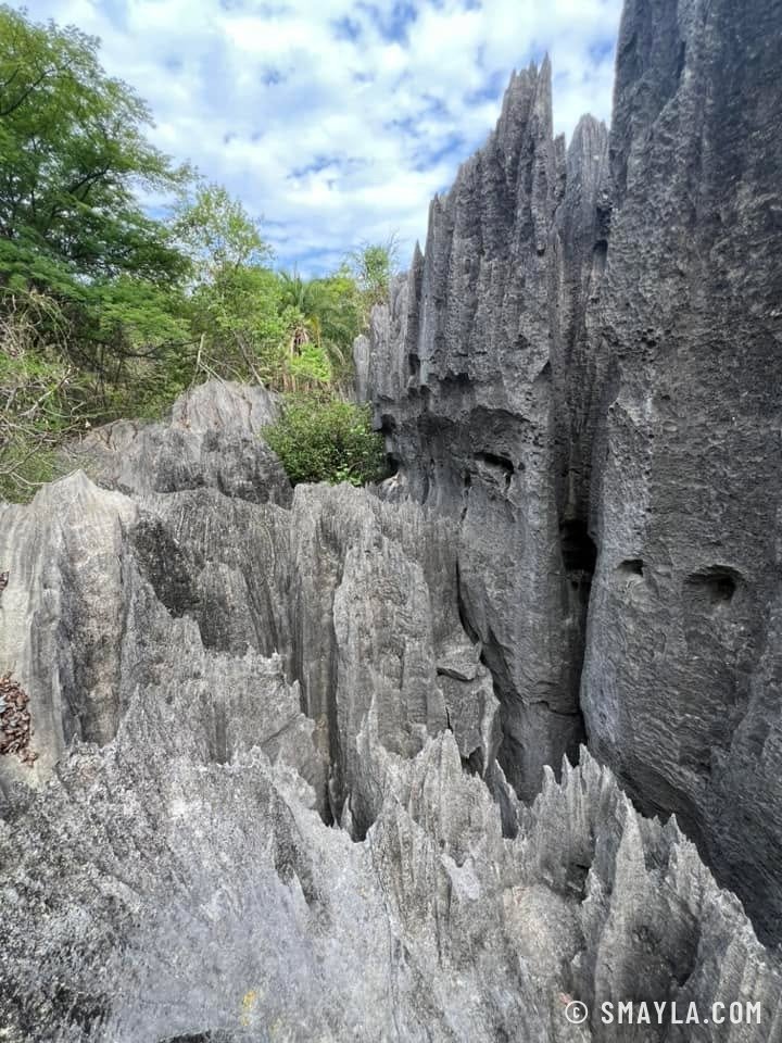 Lames de calcaire des tsingy