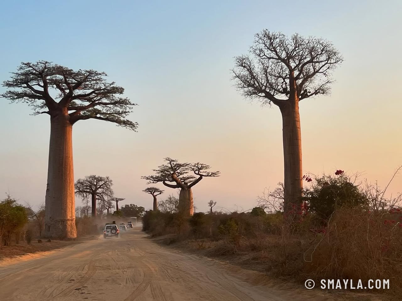 Madagascar 2024, jusqu'au bout du sud