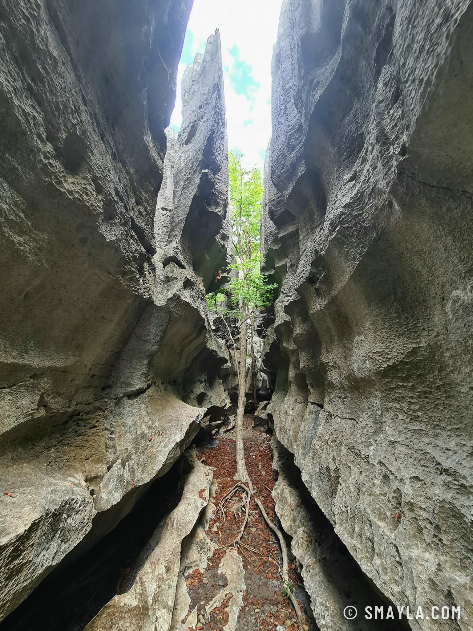 Une faille dans la roche
