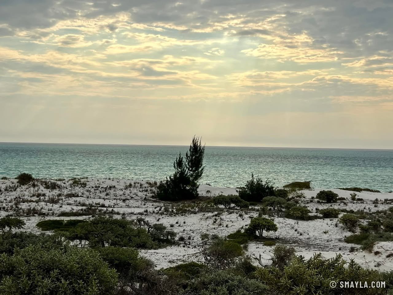 Le littoral sauvage
