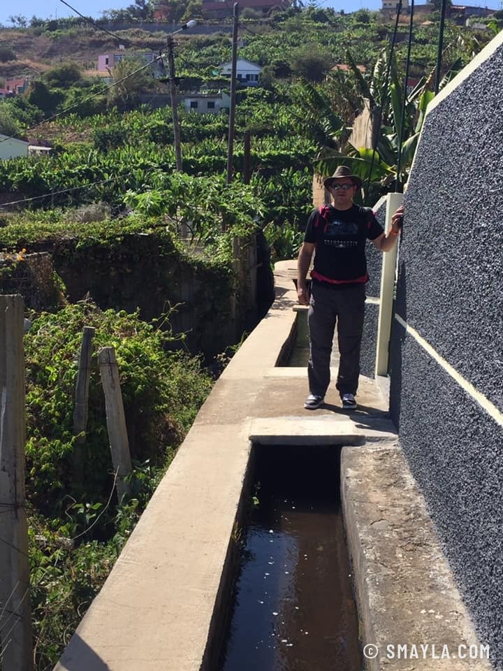 Le long d'une levada