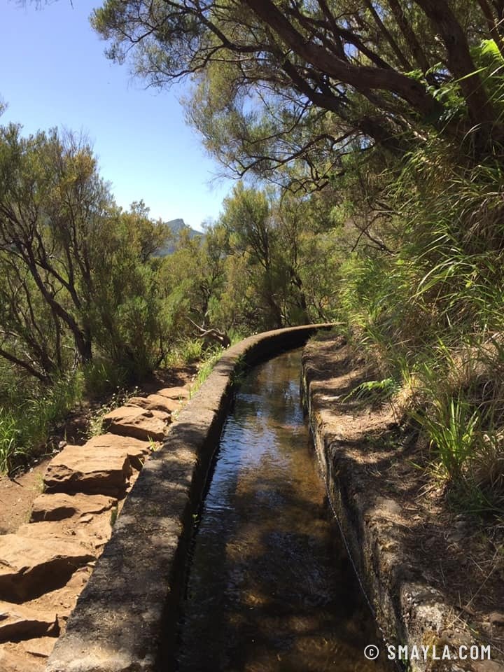 Une levada, cousine de nos bisses