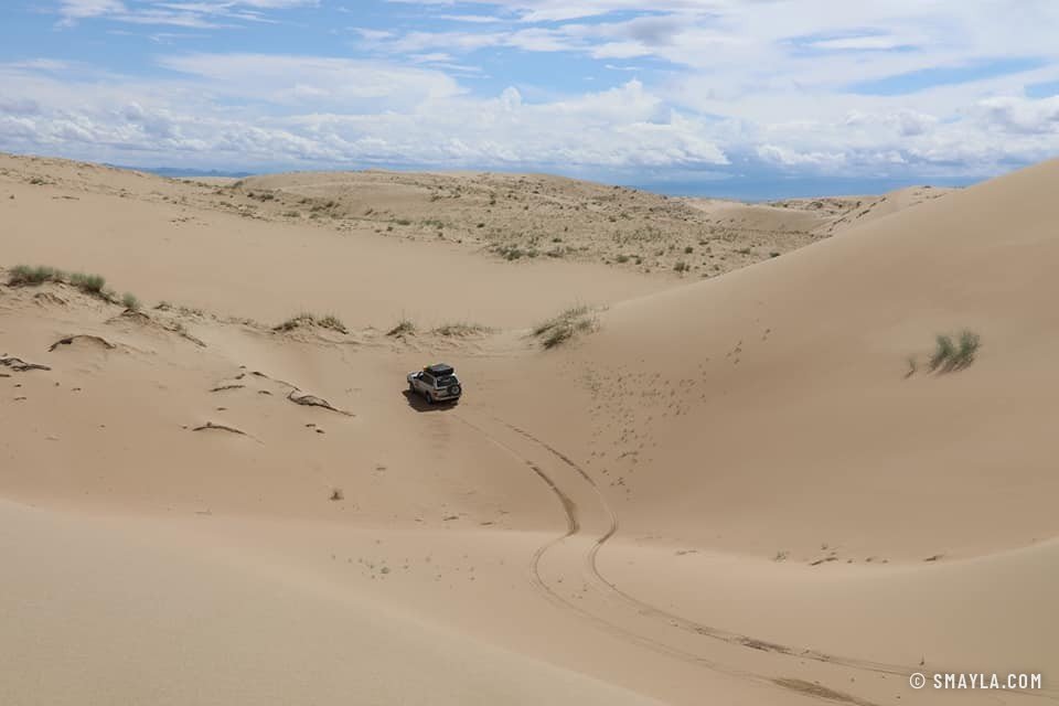 Traces dans les dunes