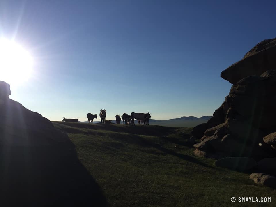 Lever du jour au premier bivouac