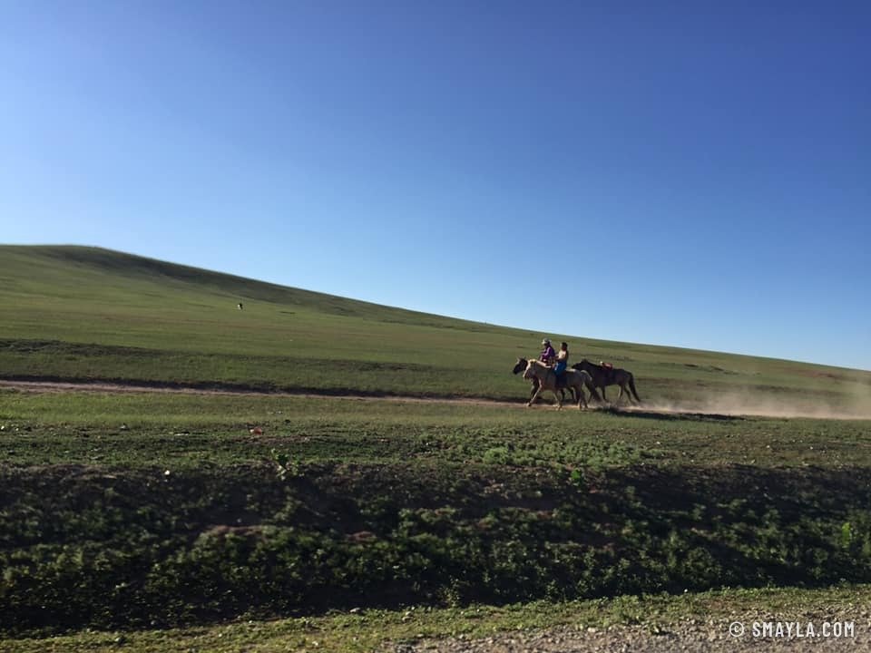 Cavaliers dans la steppe