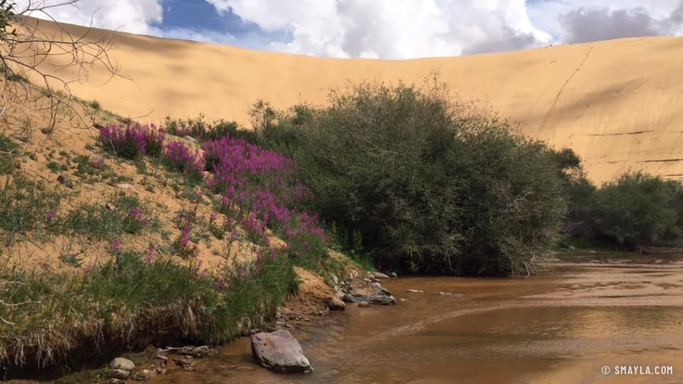 La rivière qui naît de la dune