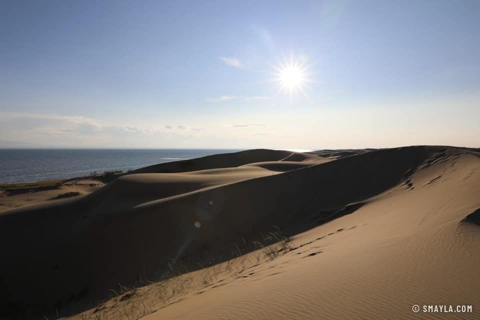 Soleil sur les dunes