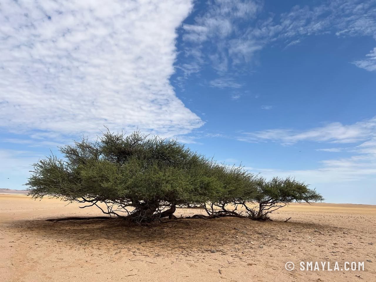 Namibie 2023, de l'Epupa à Van Zyl's Pass