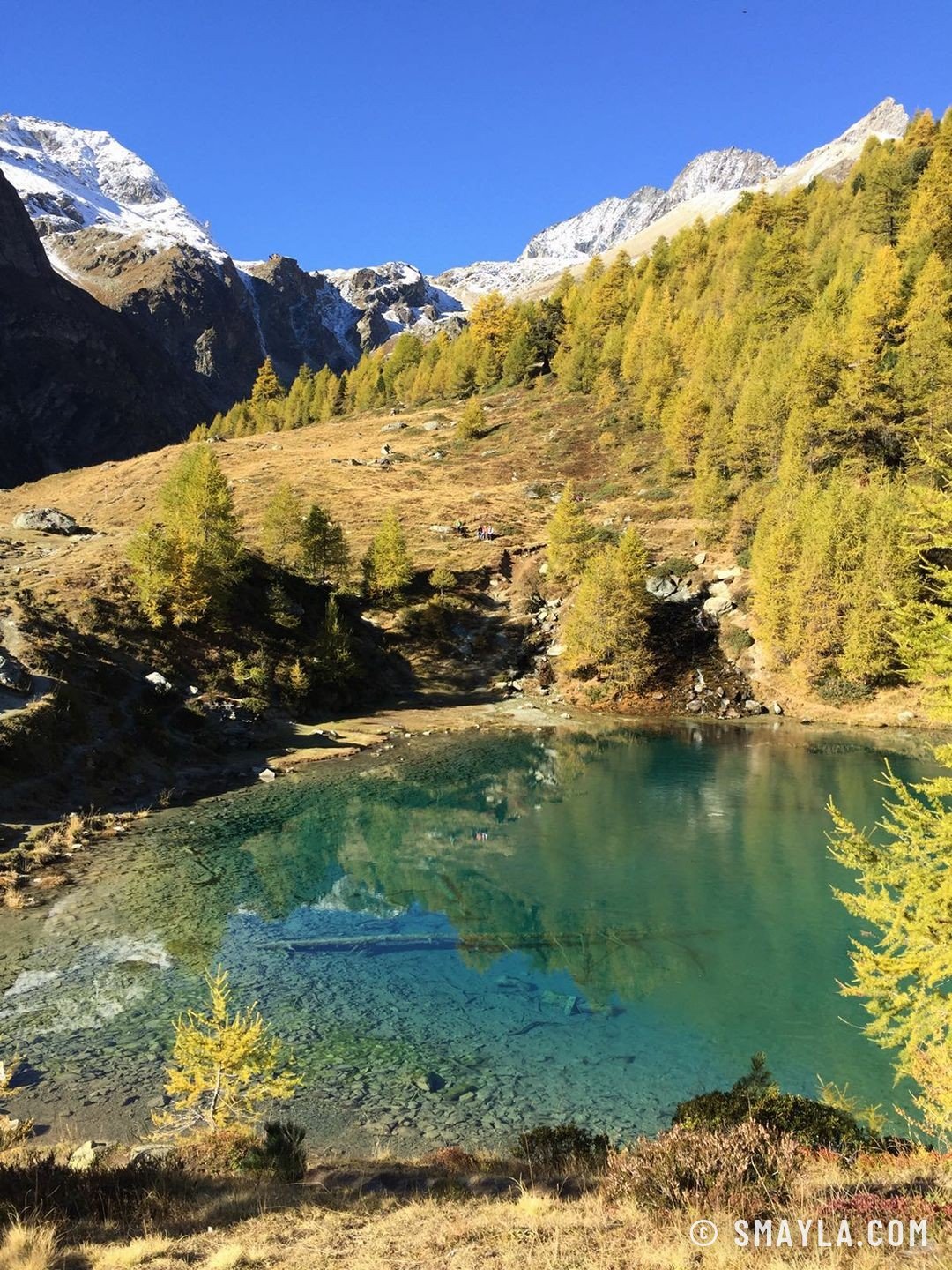Le lac Bleu et les mélèzes dorés