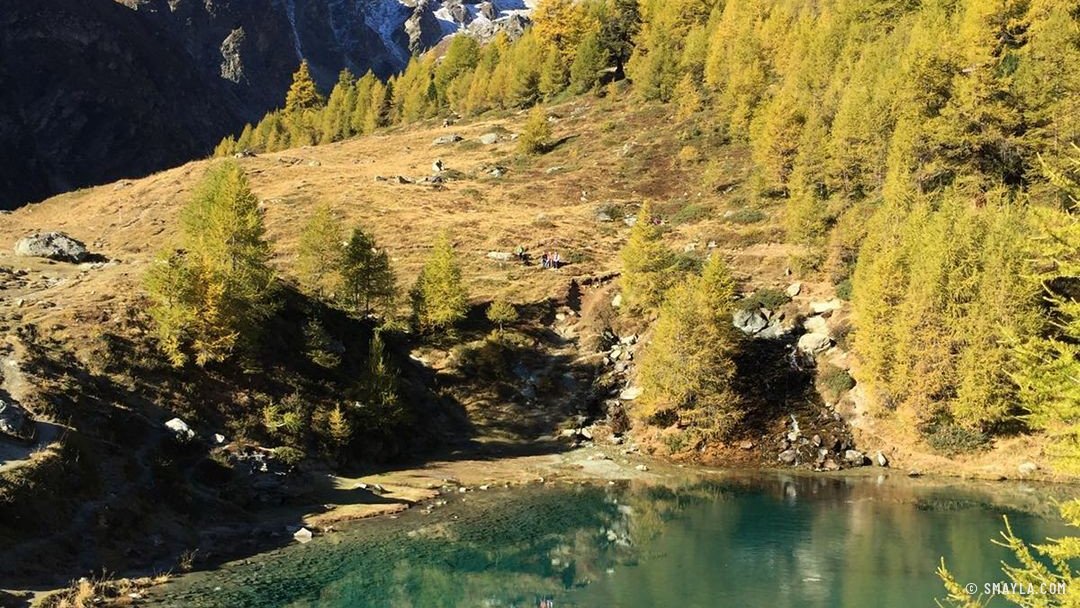Le lac Bleu et les mélèzes dorés