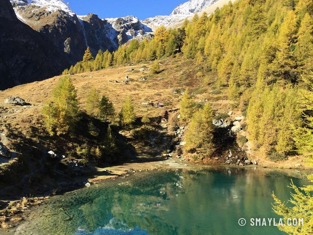 Le lac Bleu et les mélèzes dorés