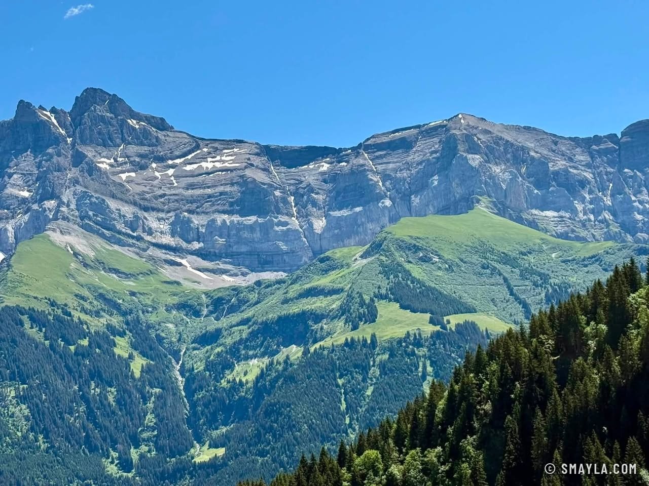 Dents du Midi above the pastures