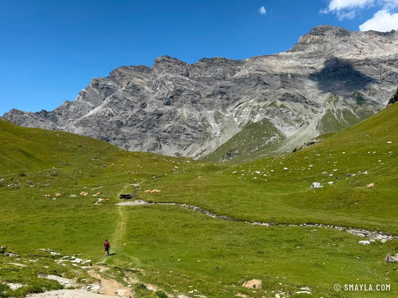 Vallon sous les Diablerets