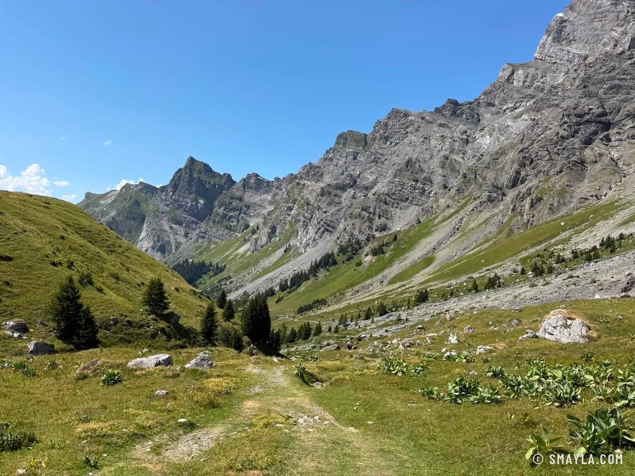 Descente dans le vallon