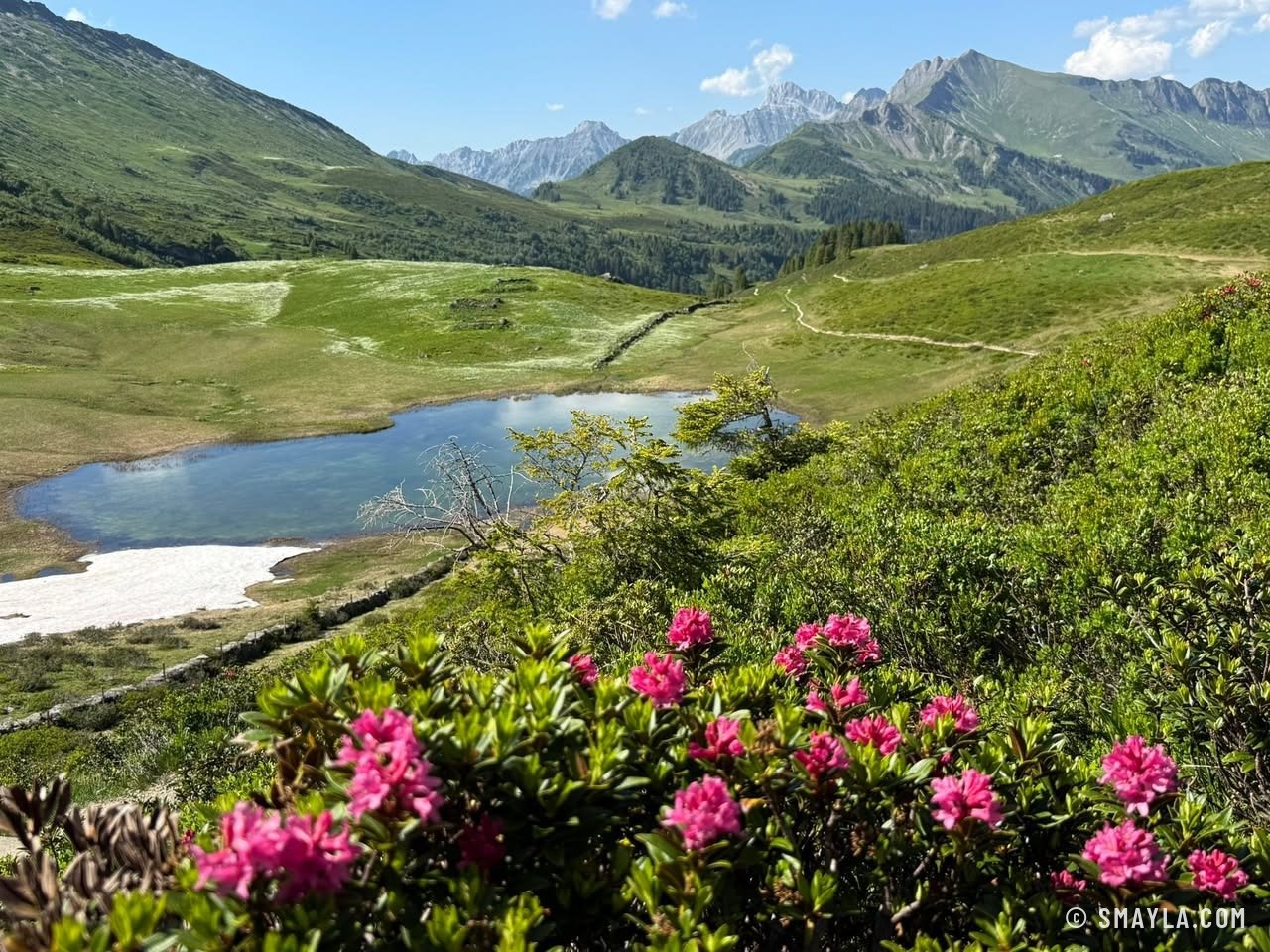 Lac et rhododendrons