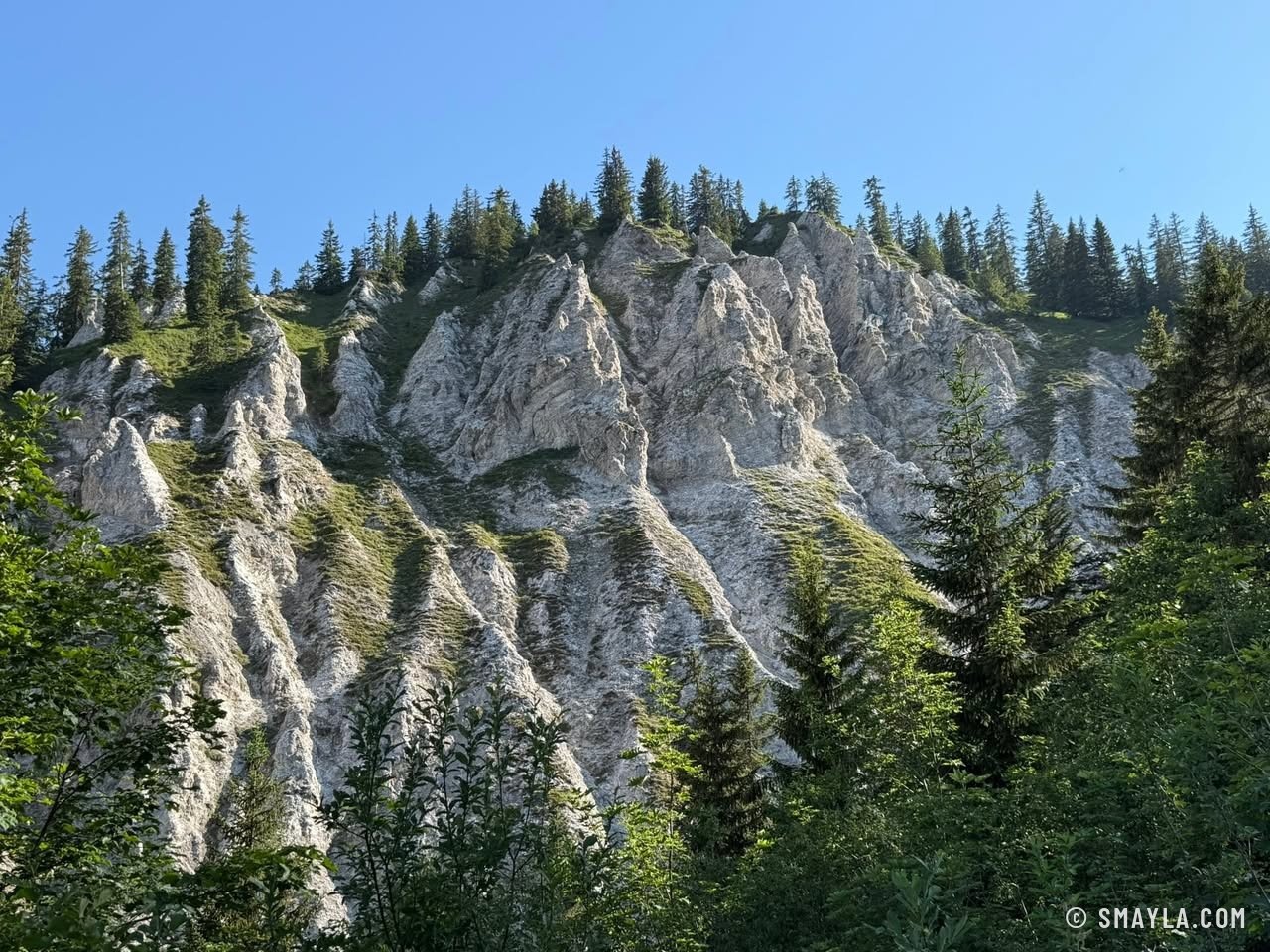 Rochers calcaires dans la forêt