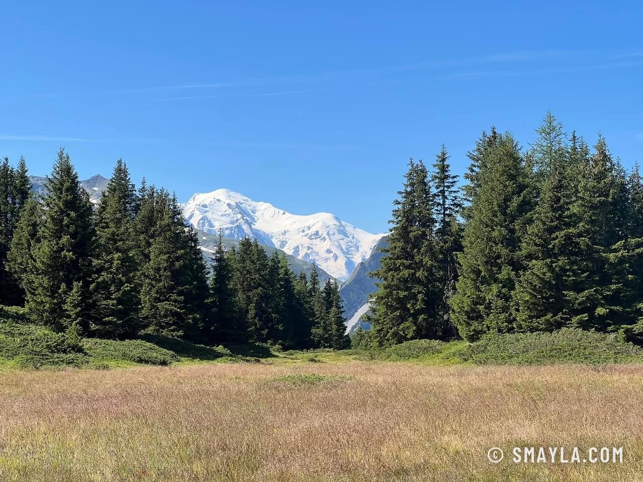 Le Mont-Blanc depuis l'Arpille