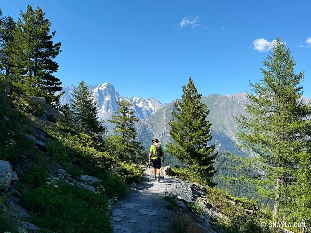La descente dans les pins