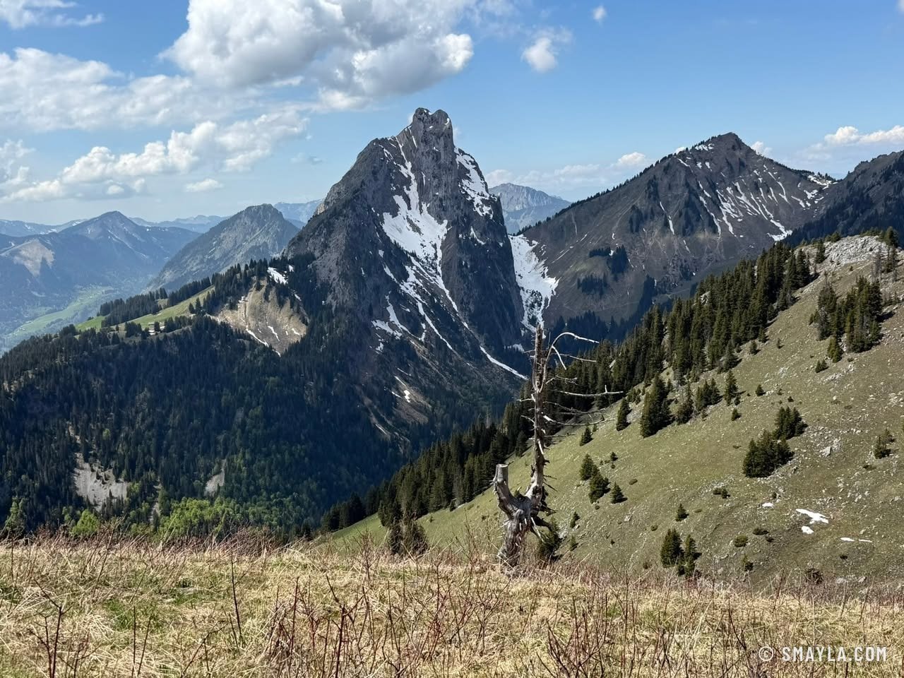 Limestone spire in spring