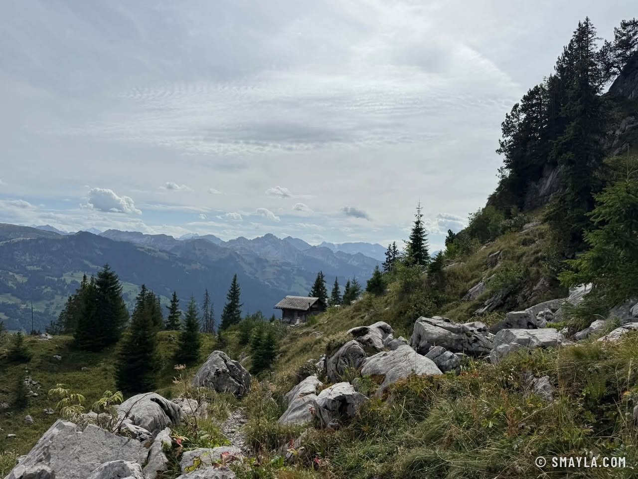 Felsen und Wald über dem Tal