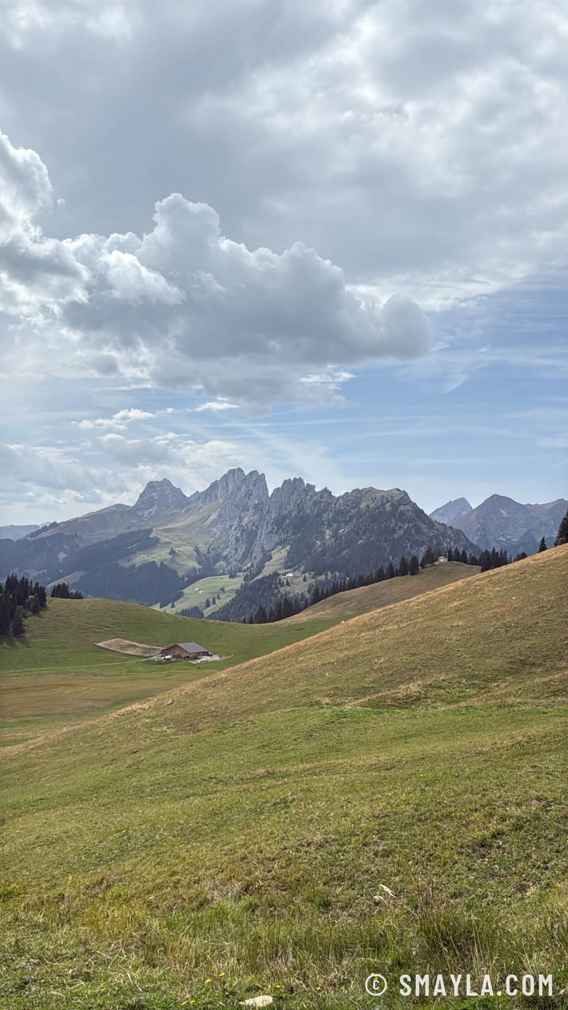 Alp vor den Gastlosen