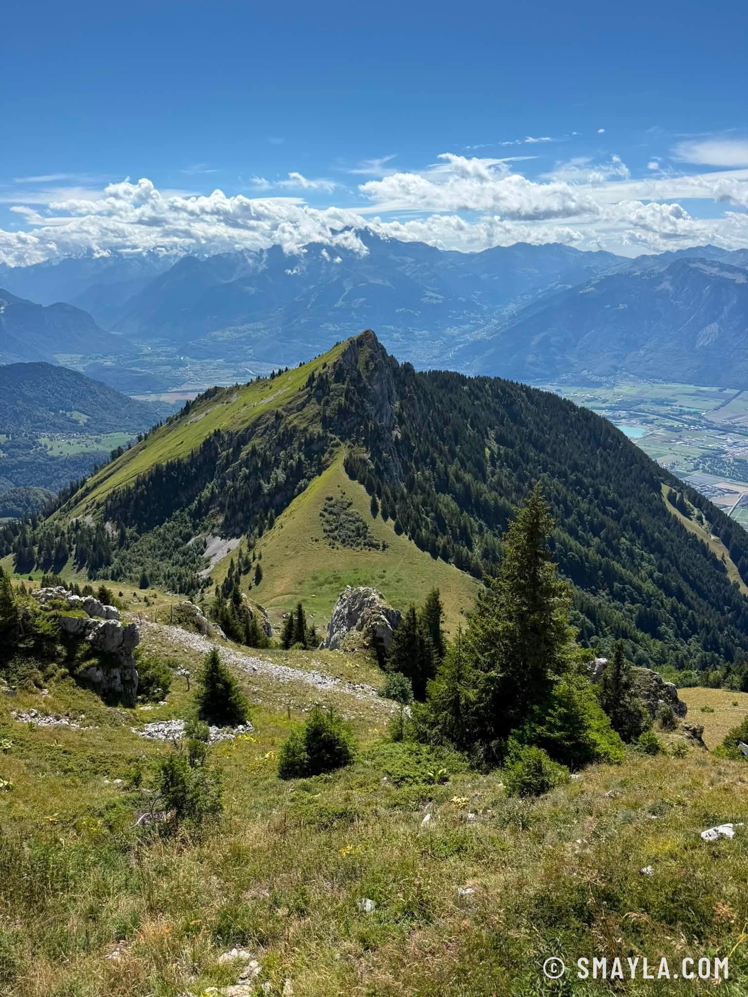 Crête boisée sous la Berneuse