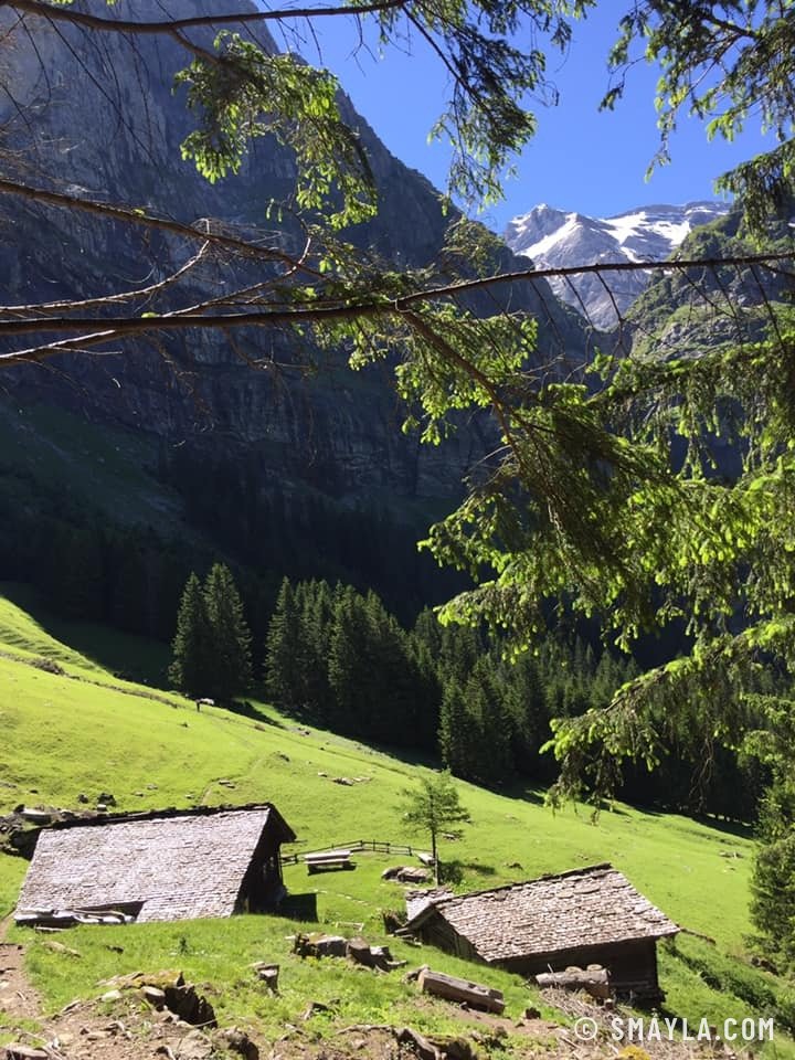 Alpine chalets below the cliffs