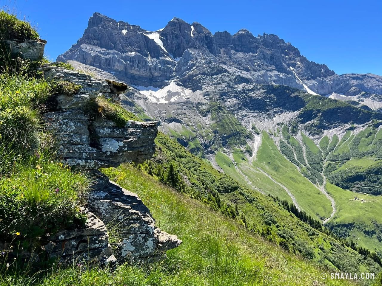 Les Dents du Midi depuis la crête