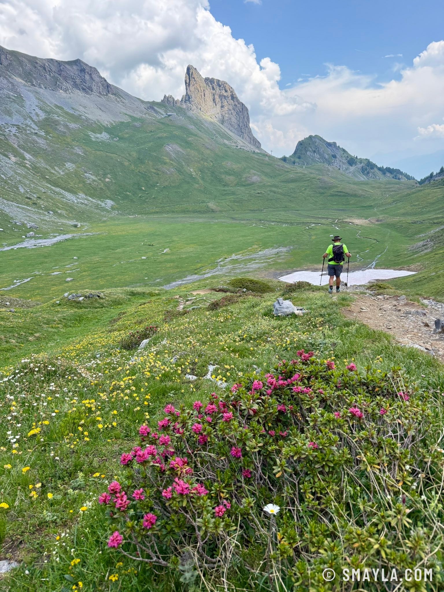 Rhododendrons et tour rocheuse
