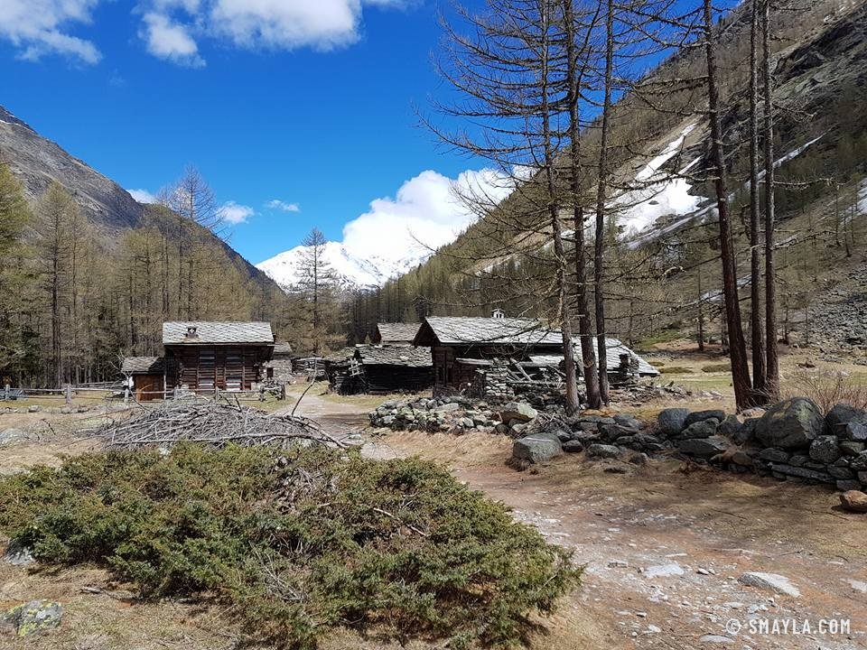 Hameau de bois au fond du vallon