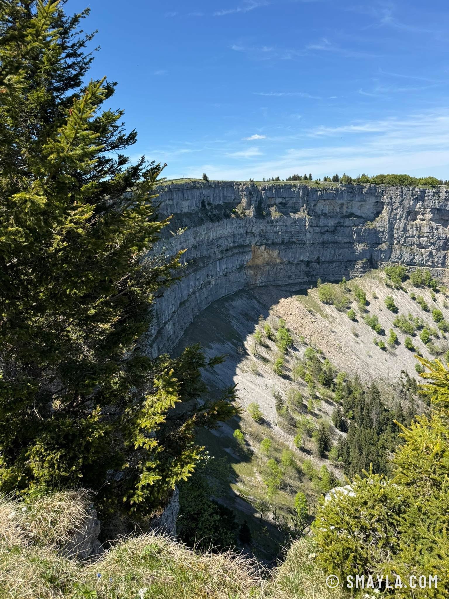 Sapin au bord du vide