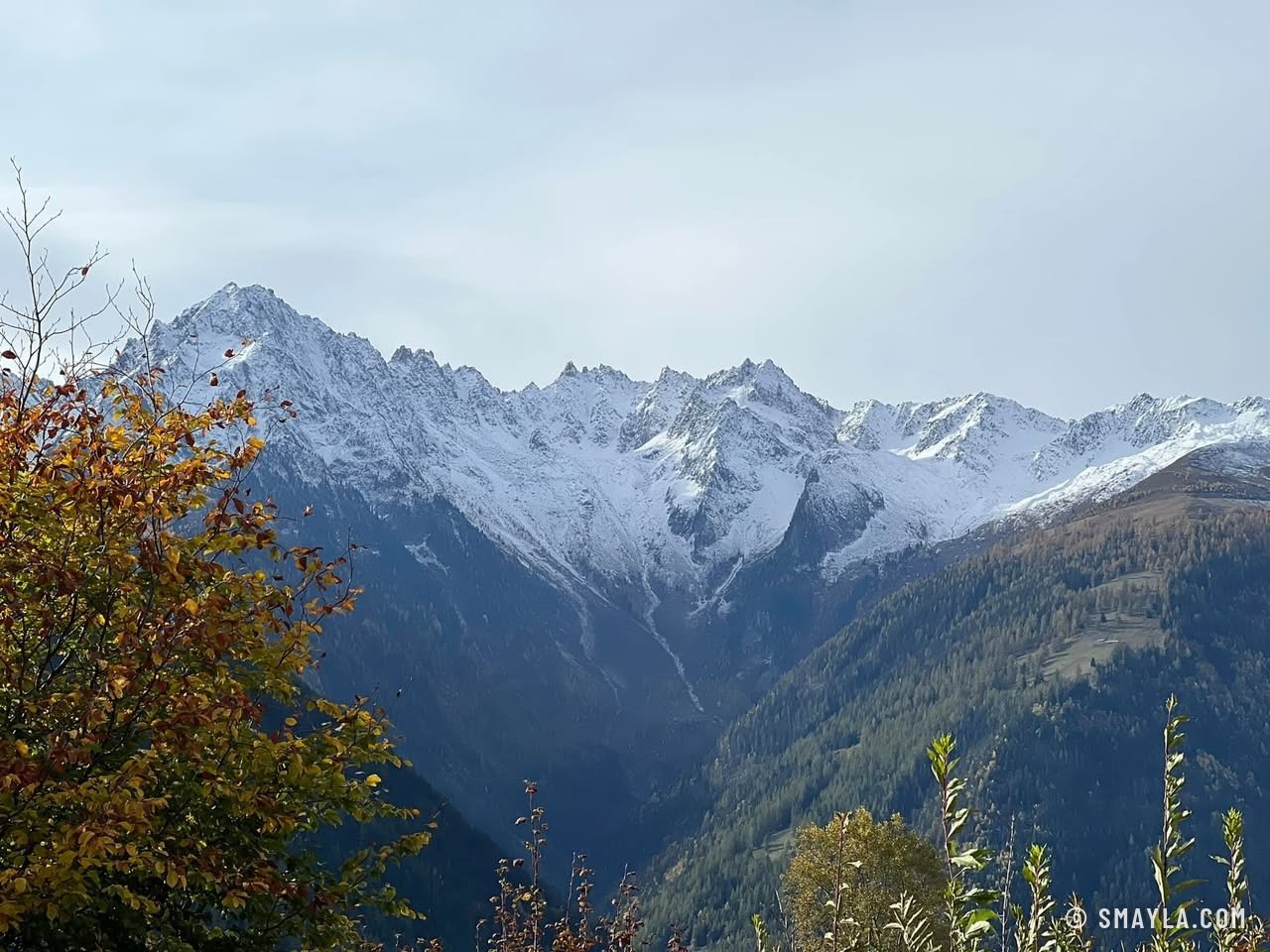 Snowy peaks and autumn leaves