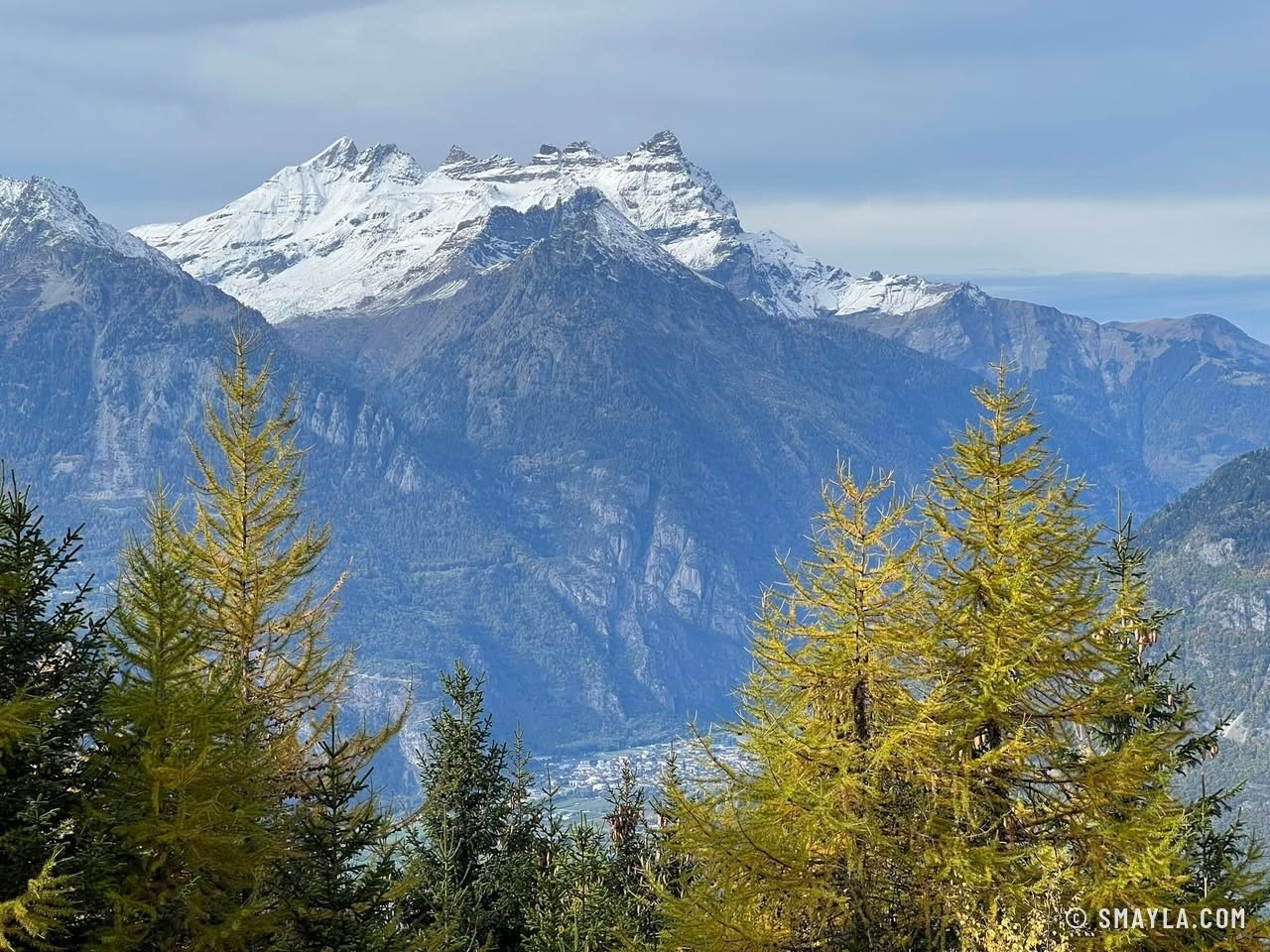 Larches and peaks