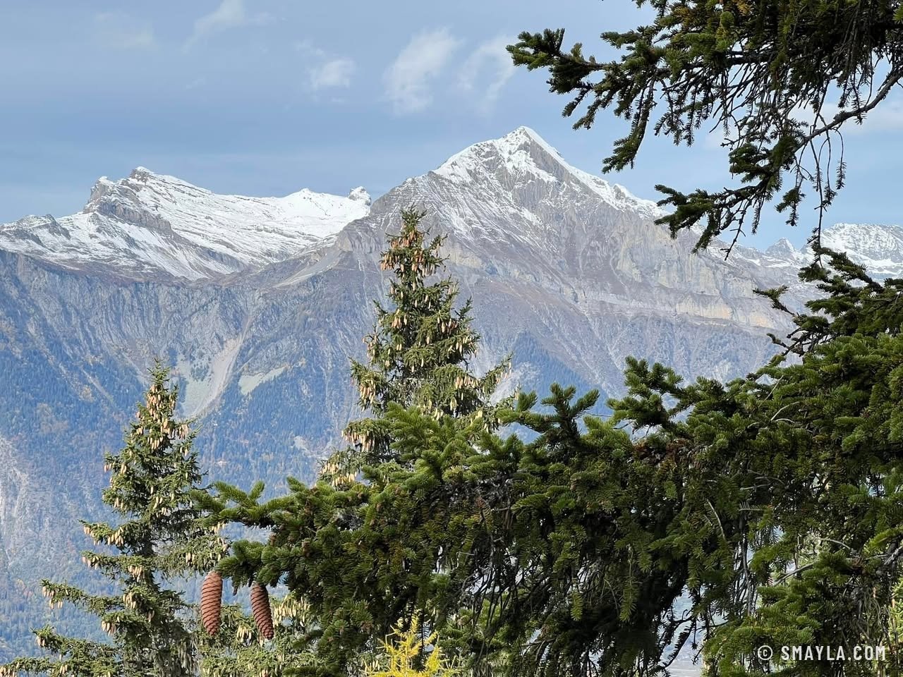 Peaks between the firs