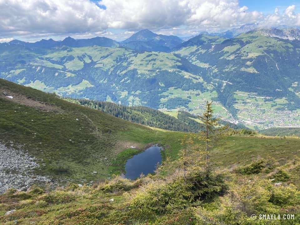 Petit lac dans le pâturage