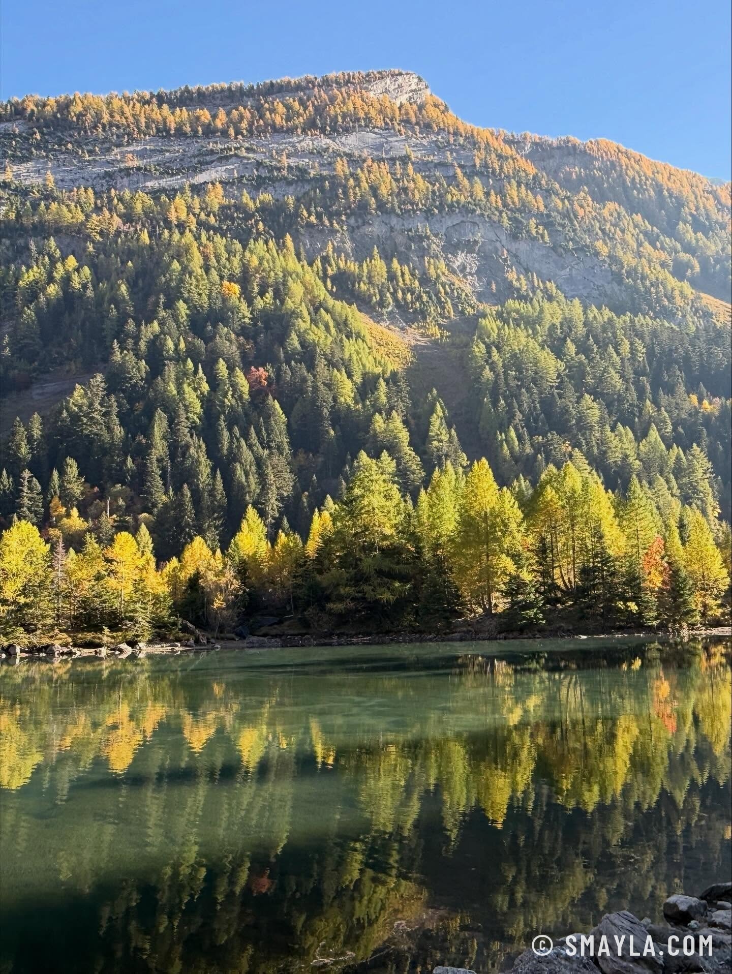 Mélèzes dorés au bord du lac