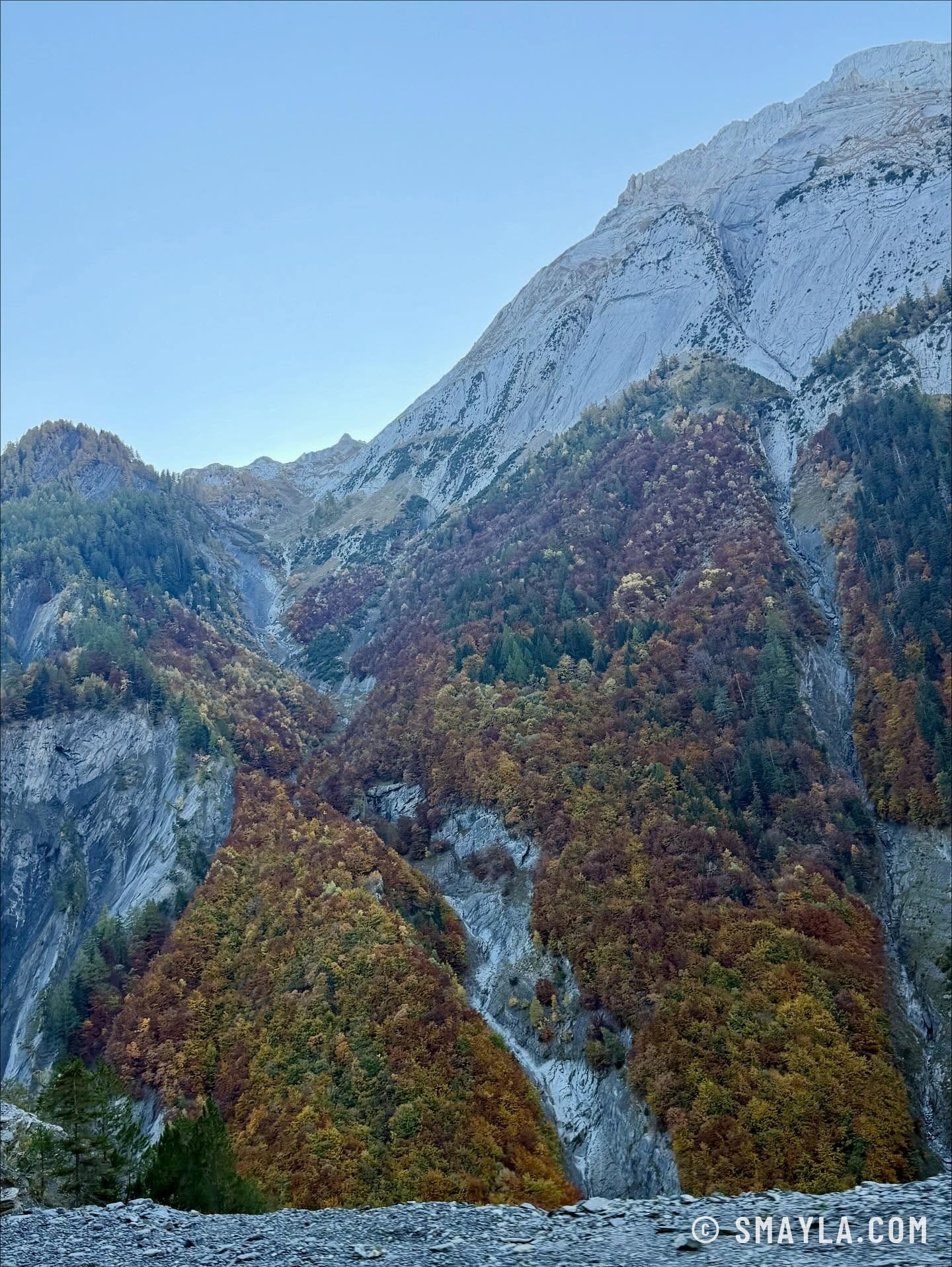 Forêt d'automne sous les falaises