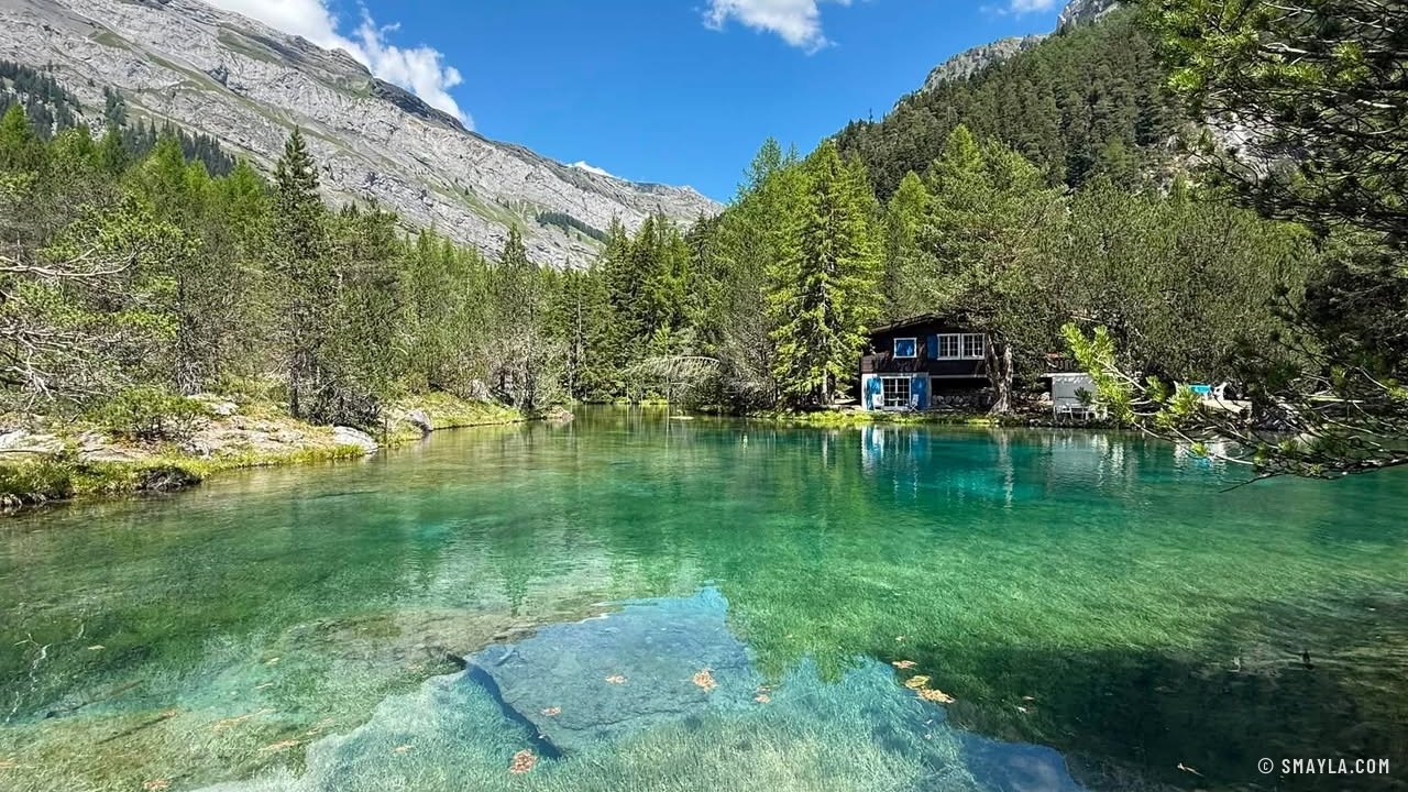 Le lac turquoise et la forêt