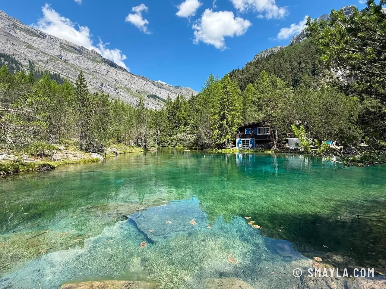 Le lac turquoise et la forêt