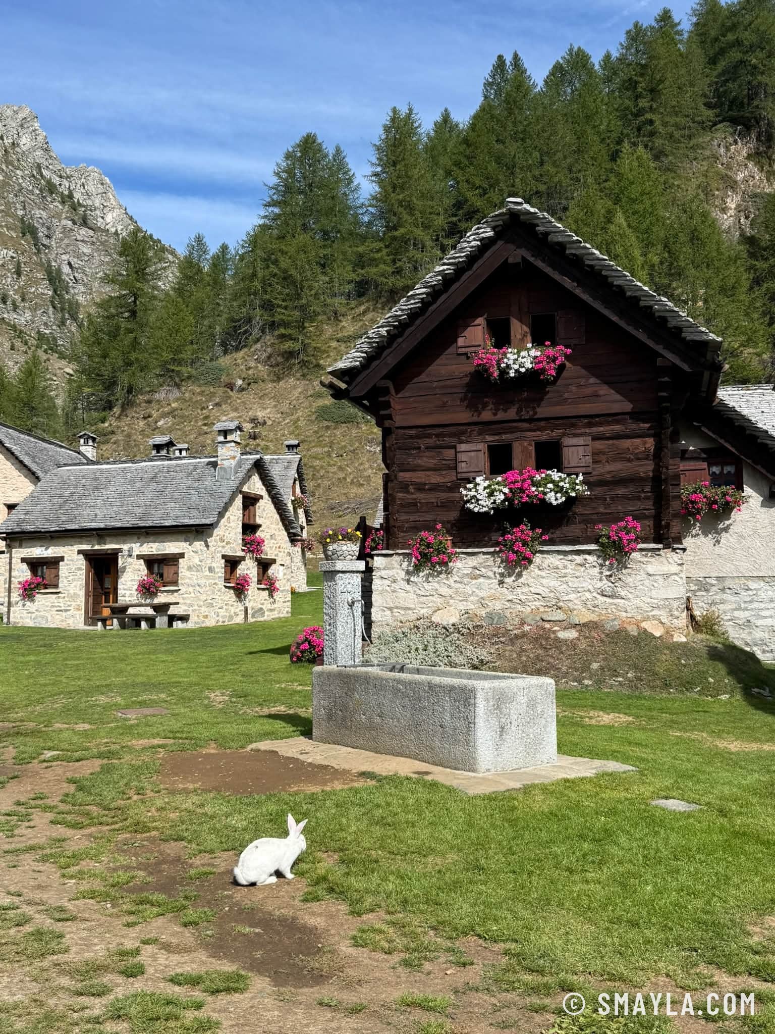 Chalet fleuri et fontaine