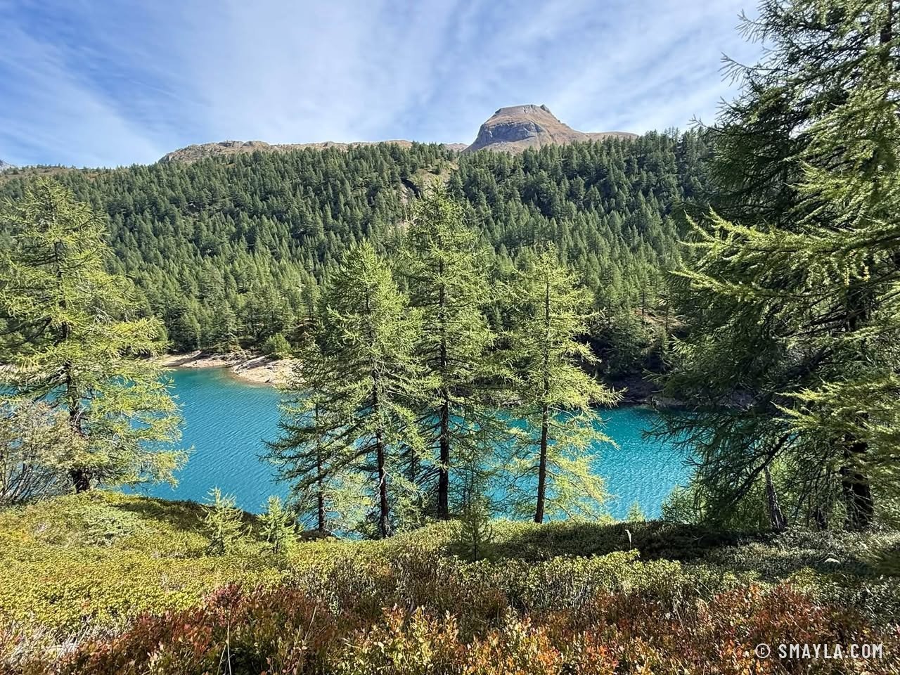 Mélèzes au bord du lac turquoise
