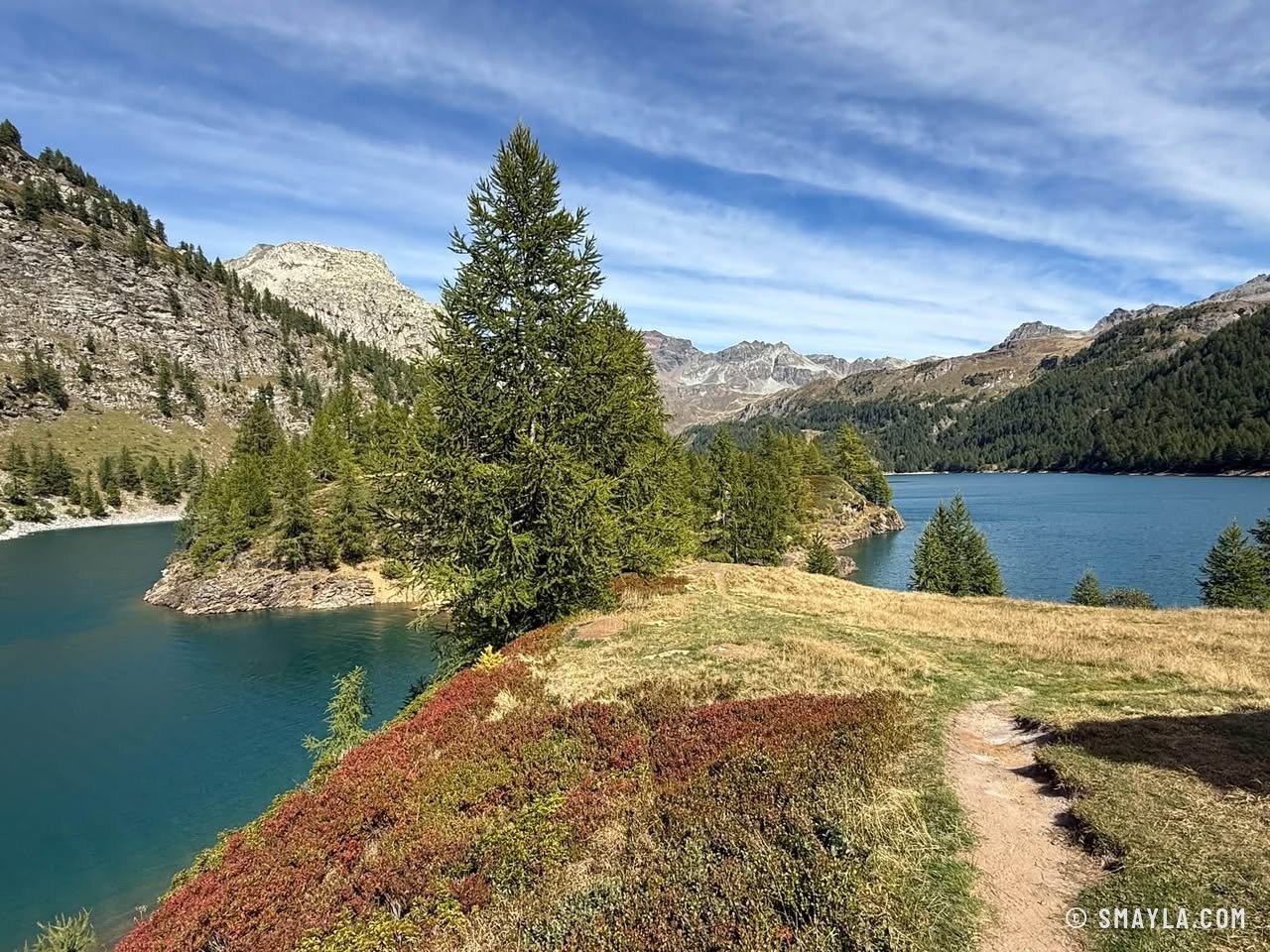 Sentier et myrtilles au bord du lac