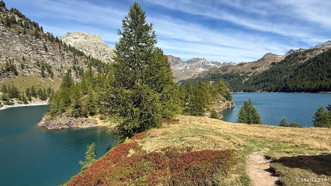 Sentier et myrtilles au bord du lac
